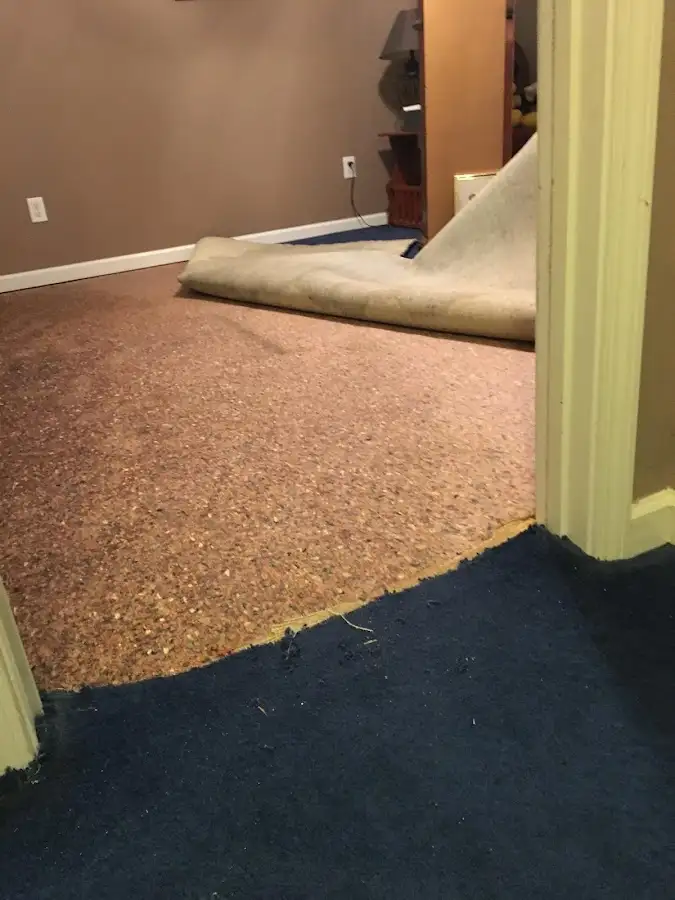Carpet pad removal revealing water damage during Drying & Dehumidification in Jeffersonville