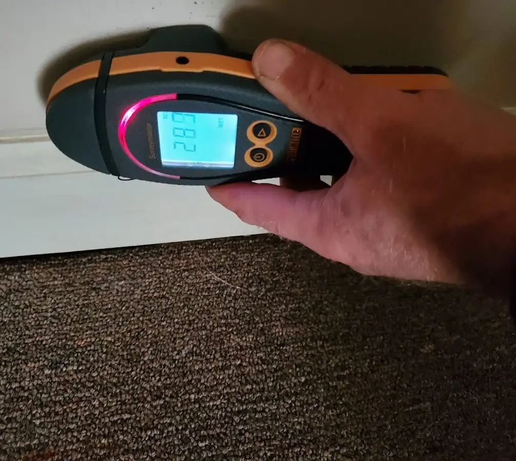 Moisture detection at baseboard during Sewage Cleanup & Sanitation in Jeffersonville